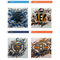 Carolina Panthers, Cincinnati Bengals, Chicago Bears, Cleveland Browns